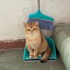 也也养猫头像