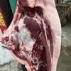 南召县马记黑猪肉店头像