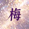 梅子姐说头像