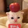 曝光头像
