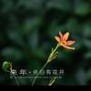 绿草青青头像