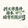 兴义市勇升苗木培育有限公司头像