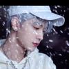 Xia◡ꕥ、头像