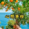 记录人间烟火头像