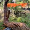 农村结巴哥头像