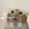 哇！金色传说头像
