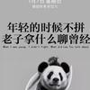 小鹏心德分享头像