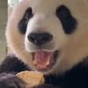 宫廷玉液酒头像