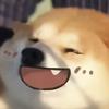 二狗同学头像