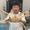 NB宁波熊二头像