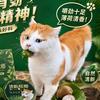 佳何的喵趣头像