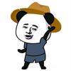 小锅锅头像