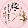 綠羅根头像