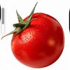 西红柿头像