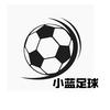 小蓝足球头像