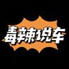 毒辣说车头像