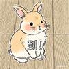 小白兔❗头像