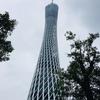 茶花姐头像