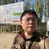 马红疆-新疆万亩恐龙蛋种植基地头像