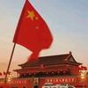 罗龙飞哲学家头像