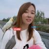 玲儿驿站🐦头像