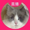 西米和团子(互关秒回)头像