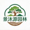 油橄榄•乌桕•朴树•榉树 等乔木头像