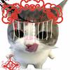 牛奶猫头像