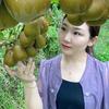丽姐（久缘农产品）头像