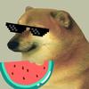 狗头💞谷尘头像