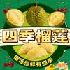 东莞四季榴莲小时达头像