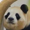 福宝的暖屋头像