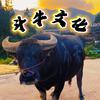 斗牛文化 辉辉哥头像