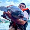 秋裤钓鱼🎣头像