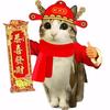 小左绝育版头像