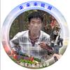 来来来视频头像