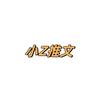 小Z推文头像