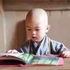 一介草头像