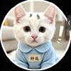 小猫好运来咯～头像