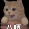 猫了个me头像