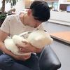 文先头像