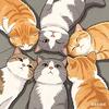 九月与流浪猫头像