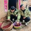 户外大野头像