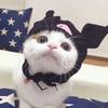 小昕说剧头像