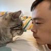 房东的猫和我头像