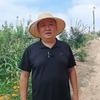 手把手教种苹果头像
