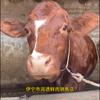 90 后卖肉小伙头像