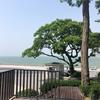 沟通头像
