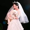 颜夫人的朋友圈头像