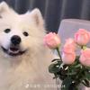 六六姐爱炒股头像